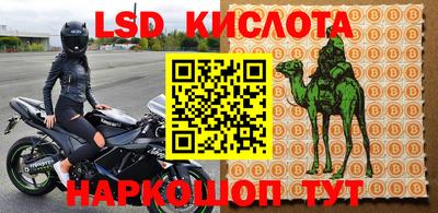 прущие грибы Обнинск