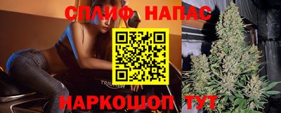 прущие грибы Обнинск