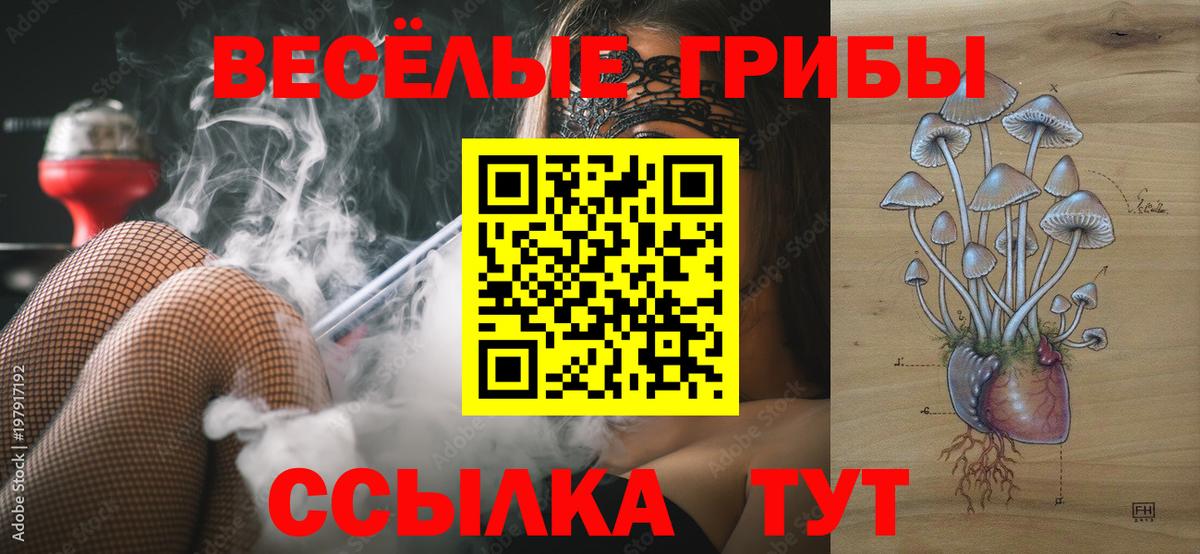 NBOMe  Вход с VPN  Alpha PVP СК   Гашиш  Мефедрон кристаллы  Кокаин  Нефтекумск  Канабис 